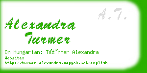 alexandra turmer business card